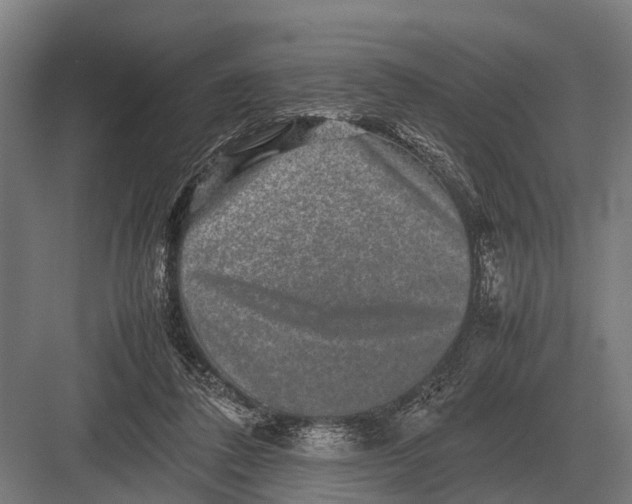 X0000082740308200702161940