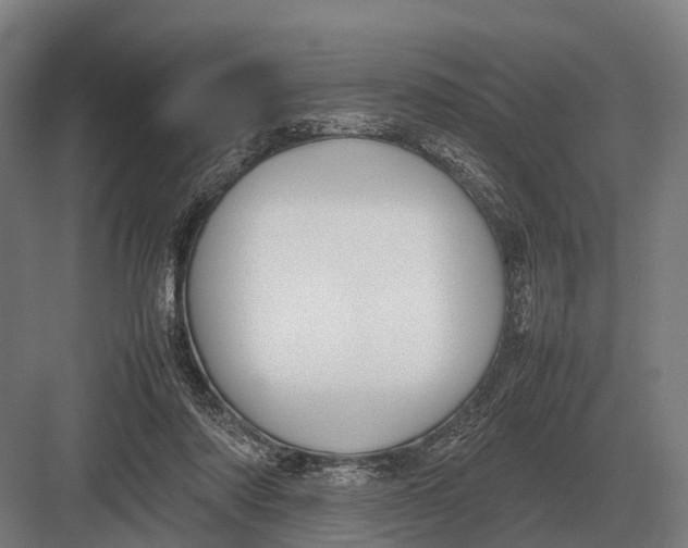 X0000082740310200702161940