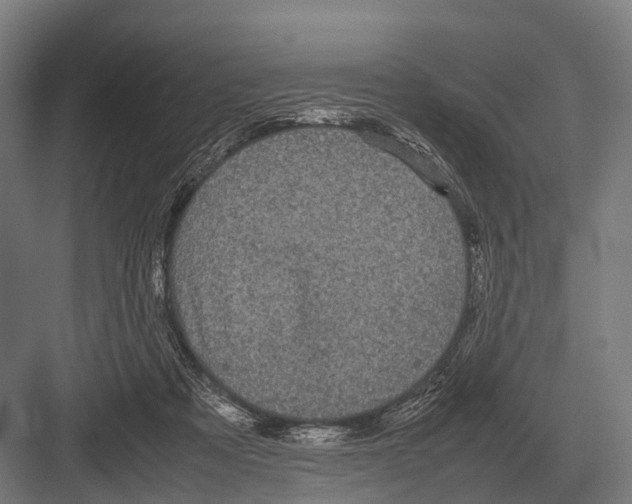 X0000082740313200702161940