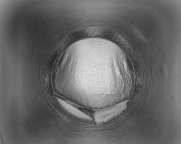 X0000082740315200702161940