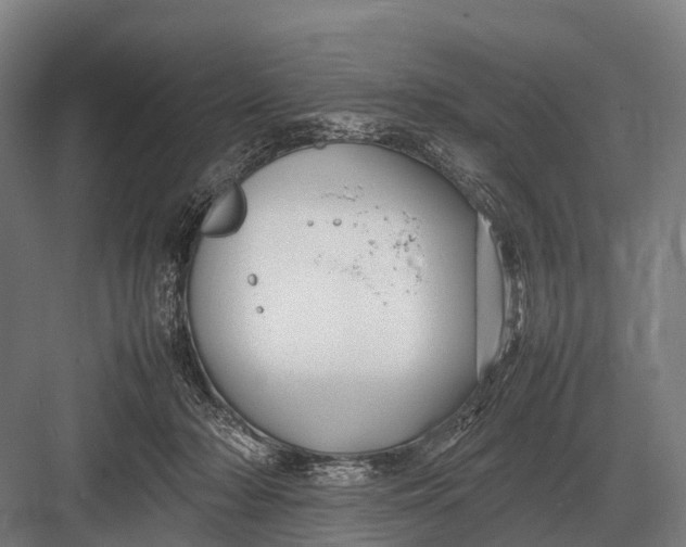 X0000082740318200702161940