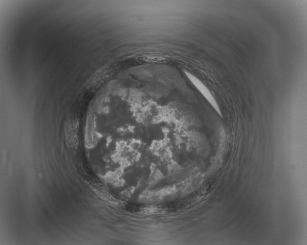 X0000082740319200702161940