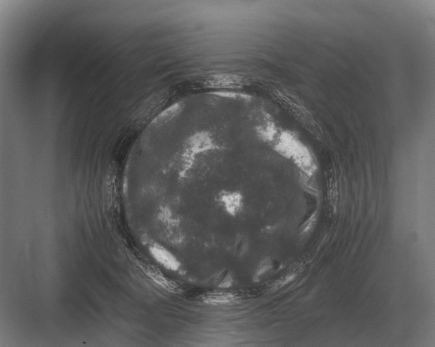 X0000082740322200702161940