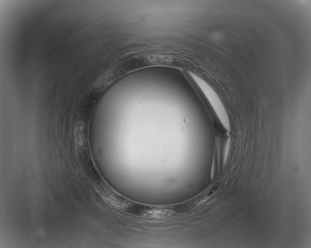 X0000082740323200702161939