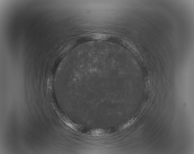 X0000082740325200702161939