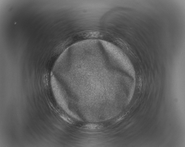 X0000082740326200702161939