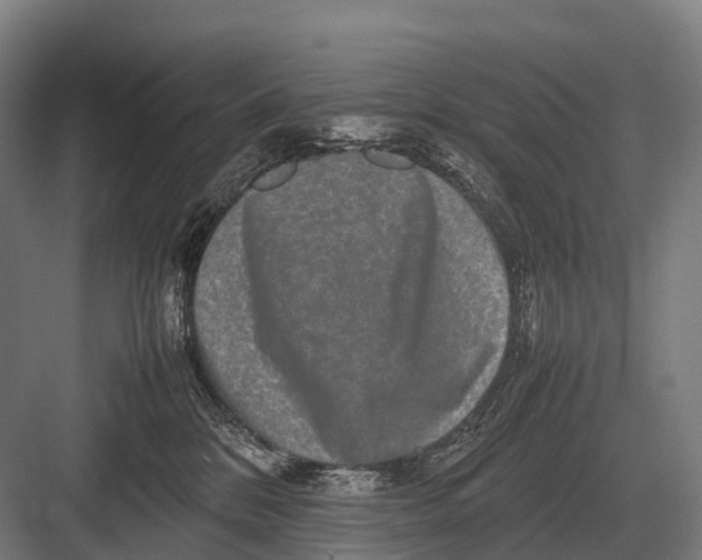 X0000082740328200702161939