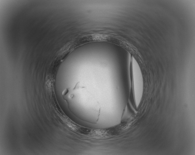 X0000082740329200702161939