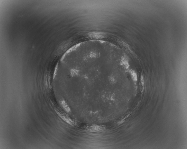 X0000082740330200702161939