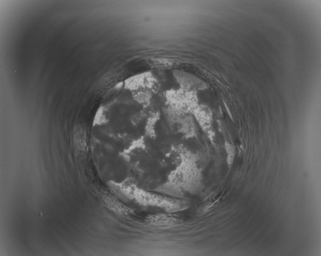 X0000082740331200702161939