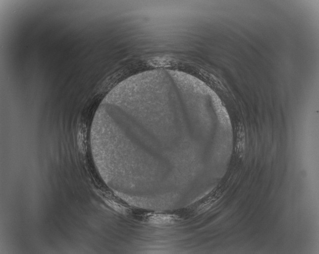 X0000082740332200702161939