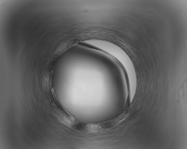 X0000082740333200702161939