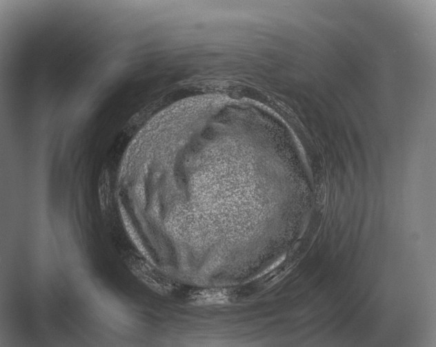 X0000082740335200702161939