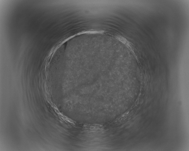 X0000082740337200702161938