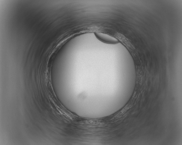 X0000082740338200702161938