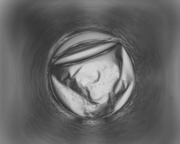 X0000082740341200702161939