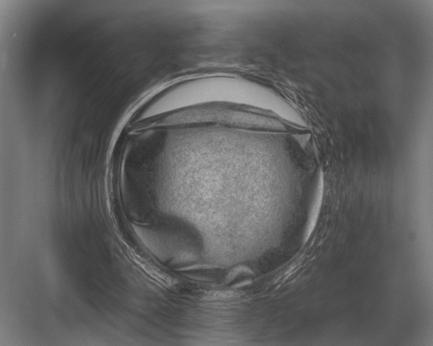 X0000082740342200702161939