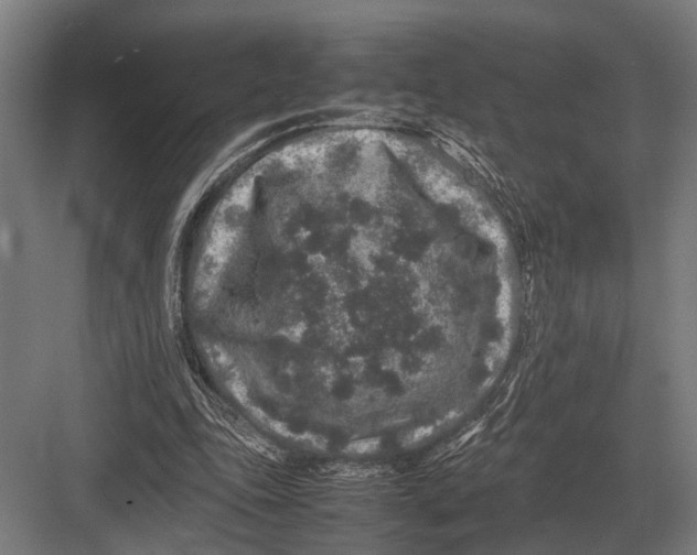 X0000082740343200702161939