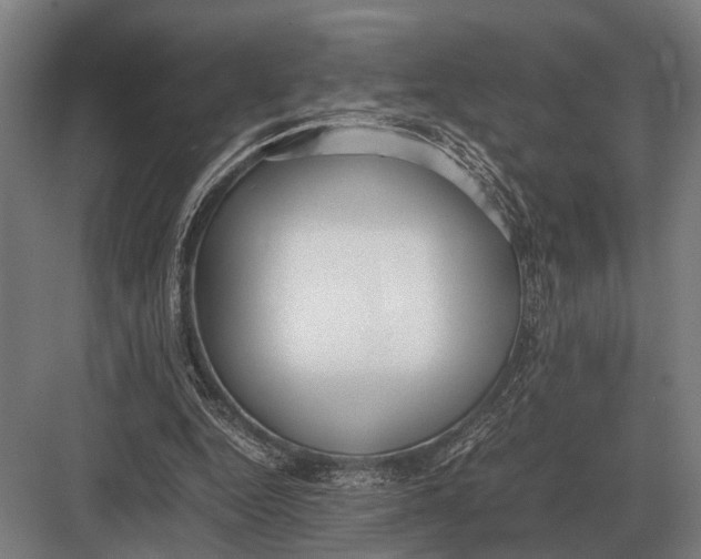 X0000082740344200702161939