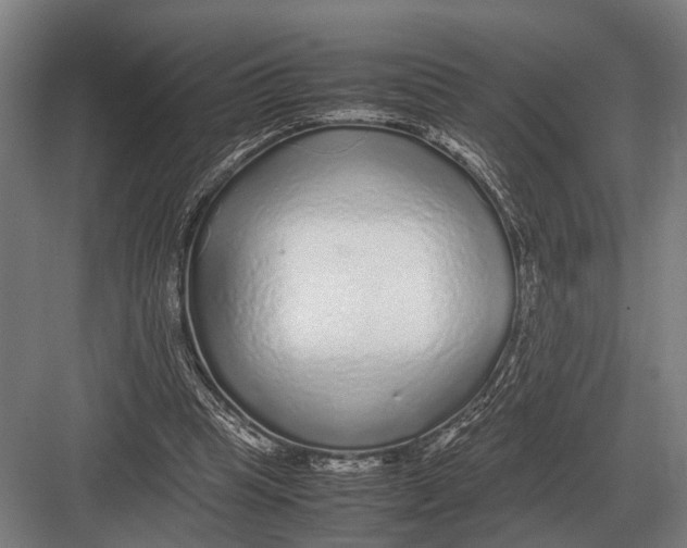 X0000082740345200702161939