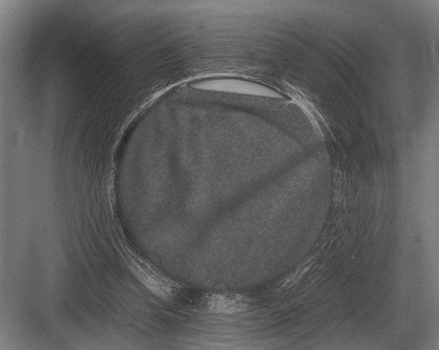 X0000082740346200702161939