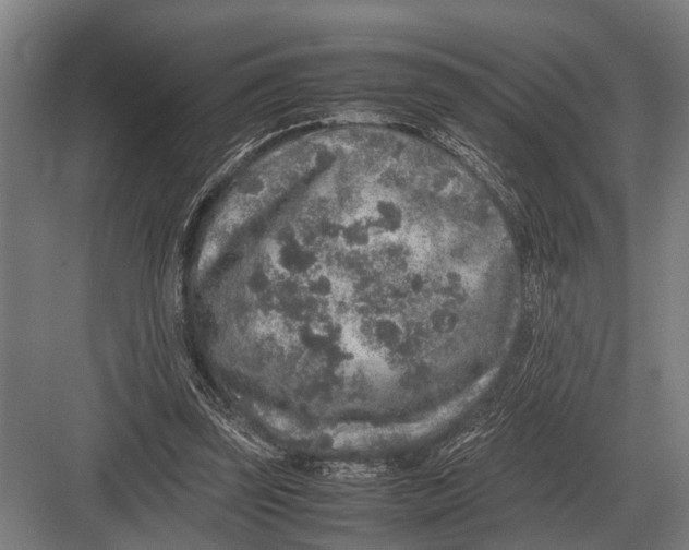 X0000082740347200702161939