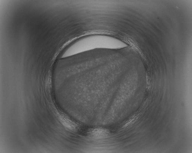 X0000082740348200702161939