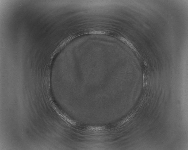 X0000082740349200702161939