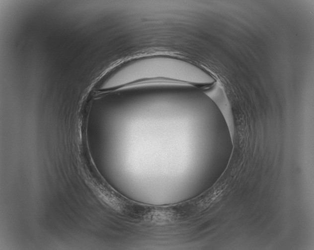 X0000082740350200702161939