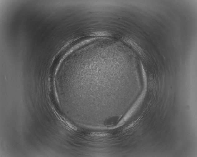 X0000082740351200702161939