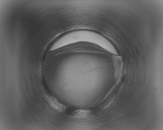 X0000082740352200702161939