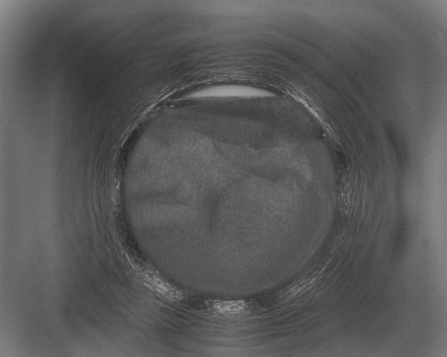 X0000082740355200702161939