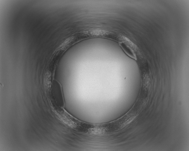 X0000082740356200702161939