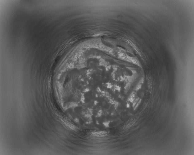 X0000082740357200702161939