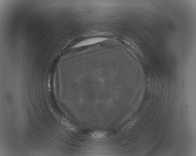 X0000082740358200702161939