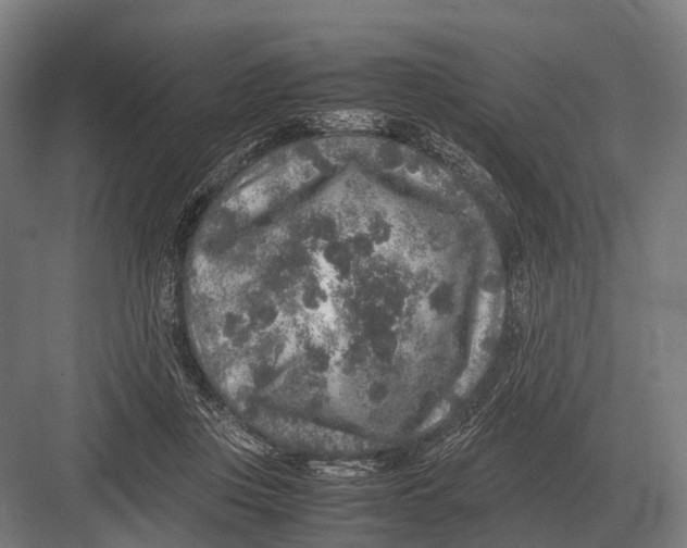 X0000082740359200702161939