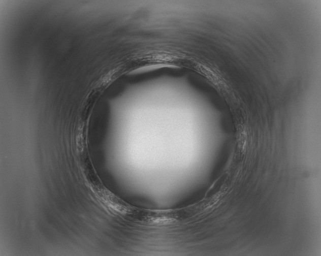 X0000082740360200702161939