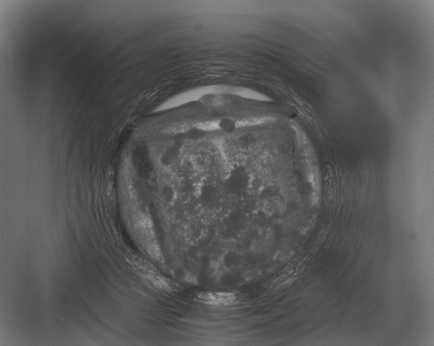 X0000082740361200702161939