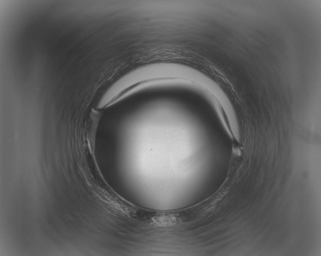 X0000082740362200702161939