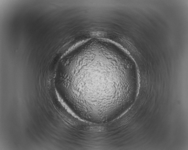 X0000082740363200702161939