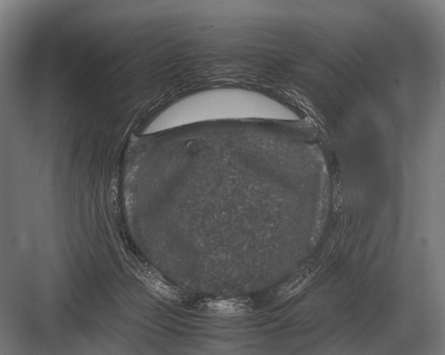 X0000082740365200702161939