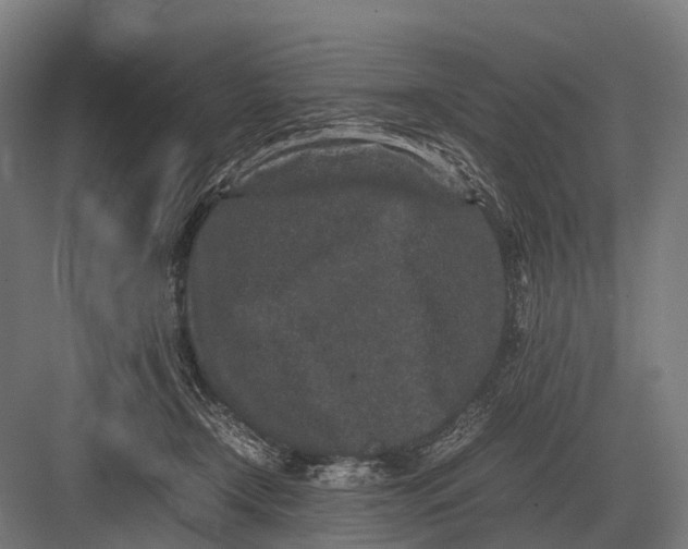 X0000082740366200702161939