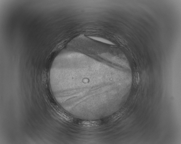 X0000082740367200702161939