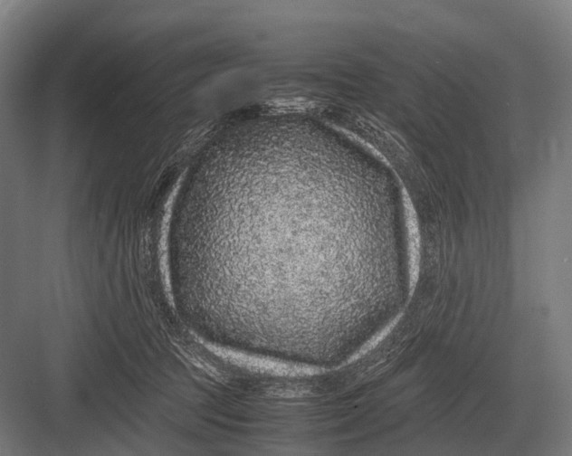 X0000082740369200702161939