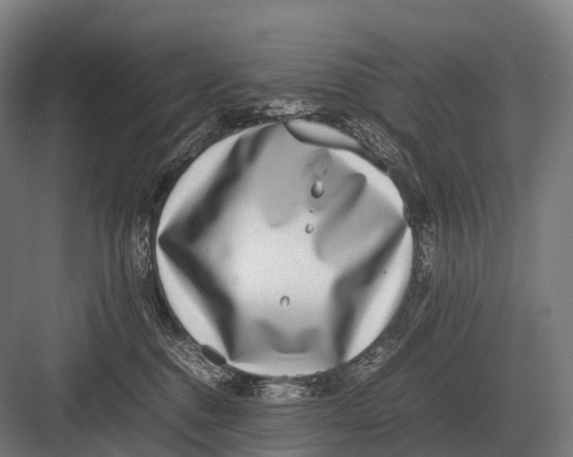 X0000082740376200702161939