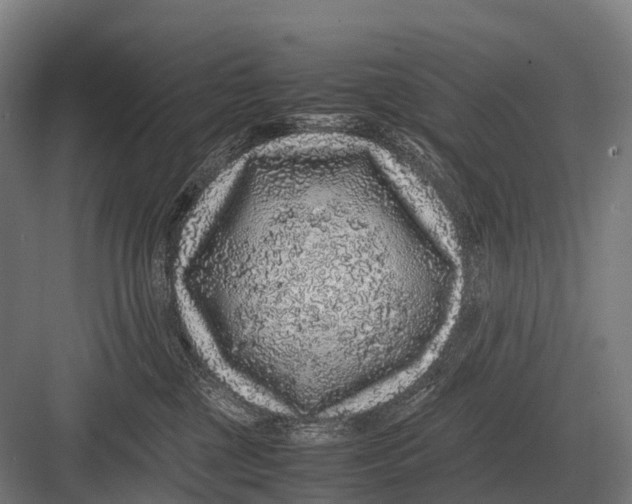 X0000082740377200702161939