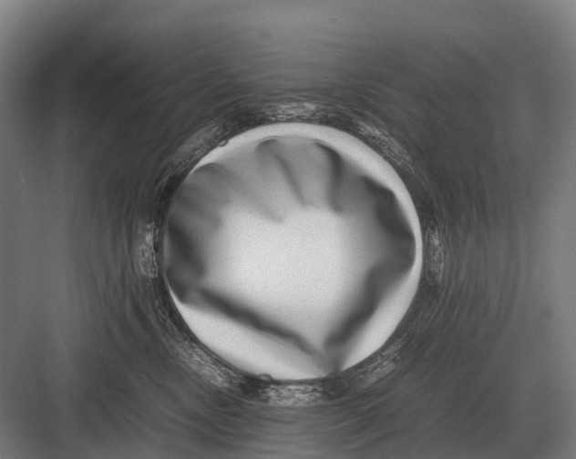 X0000082740378200702161939