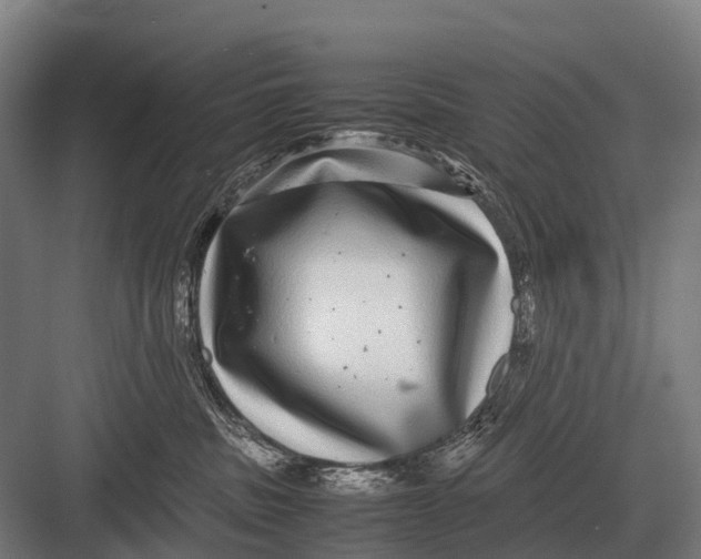 X0000082740379200702161939