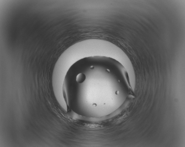 X0000082740380200702161939