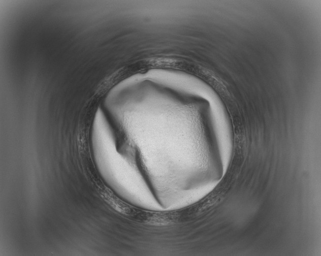 X0000082740381200702161939